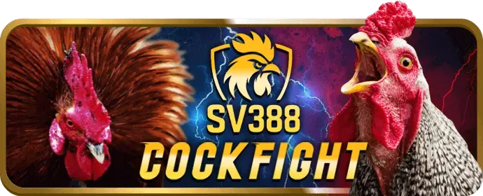 Chương trình VIP độc quyền cho người chơi nổ hũ